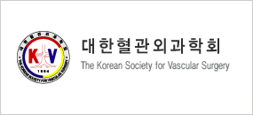 The Korean Society for Vascular Surgery